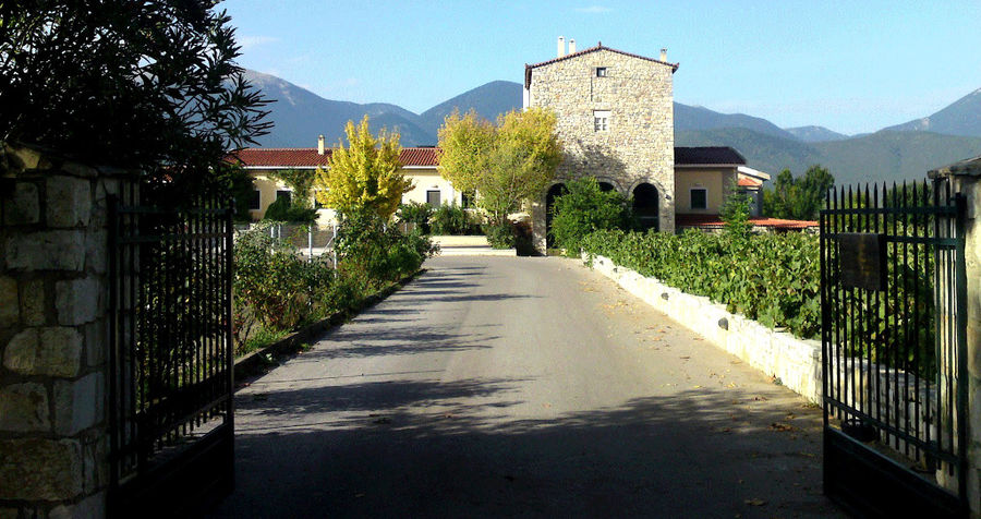 Ktima Spiropoulos entrance with iron gates and vineyards on the both sides